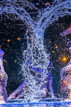 Las Vegas: WOW - The Vegas Spectacular Show