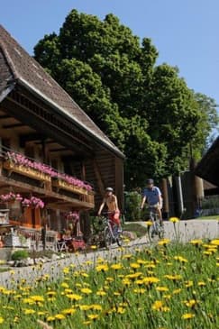 Tagesausflug nach Bern inkl. Käse-Verkostung