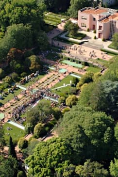 Parque de Serralves: bilhete de entrada e passeio na copa das árvores