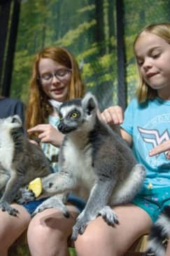 Acuario interactivo y reserva de animales de Houston