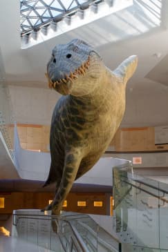 Papalote Children's Museum