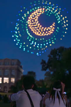 Van Gogh's Starry Nights at NYBG