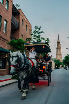 Haunted Evening Horse and Carriage Tour of Charleston