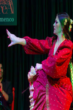 Tablao Flamenco La Alboreá: Espectáculo de Flamenco en Granada