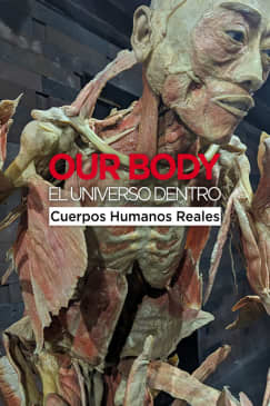 Our Body: The universe inside