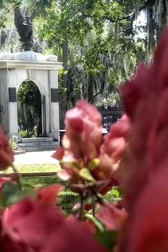 Botanical Tour (by Walk With Me Savannah Tours)