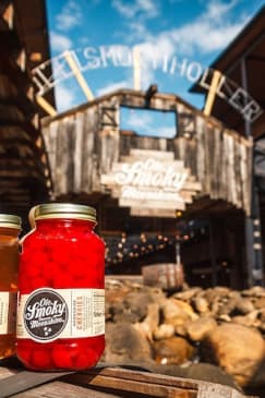 Nashville: Soul of Music City Night Tour