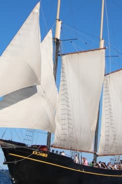 Toronto: Tall Ship Boat Cruise