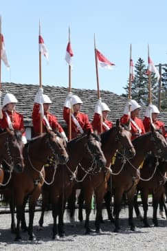 The Fort Museum & Musical Ride Admission