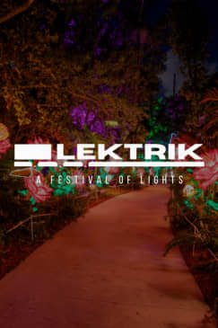 Lektrik: A Festival of Lights