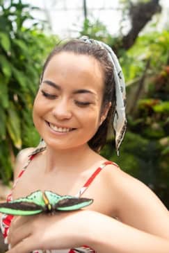 Australian Butterfly Sanctuary