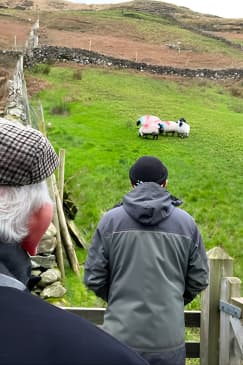 Small Group Aughnanure Castle, Sheepdog Demo & Connemara Tour