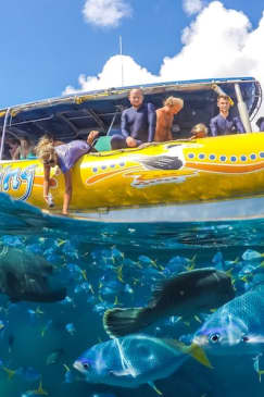 Whitsundays Ocean Rafting: Snorkel, Walk & Whitehaven Beach