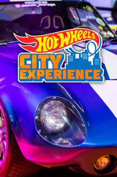 Hot Wheels City Experience - Lista de espera