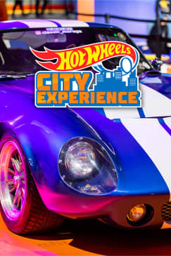 Hot Wheels City Experience - Lista de espera