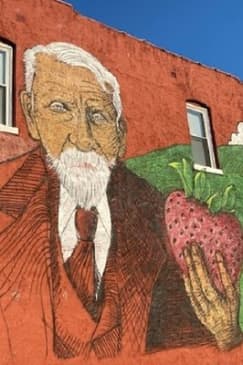 Strawberry Hill and Downtown KCK Hike