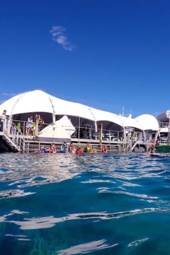 Great Barrier Reef Adventure