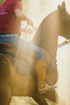 Duke Horse Riding Club