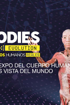 Bodies Evolution en Málaga