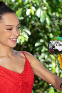 Birdworld Kuranda