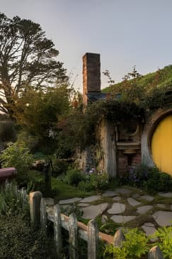 Waitomo & Hobbiton Guided Tour departing Auckland