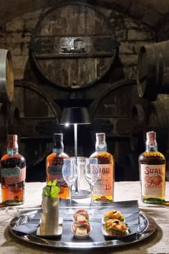 Recorrido por la Destilería Palma con 3 Licores y Degustación de Tapas Gourmet