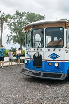 Savannah to Tybee Island with Dolphin Cruise
