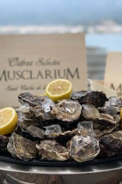 Musclarium: Ruta de las mejilloneras