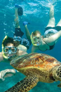 Green Island Tour: Catamaran Cruise from Cairns