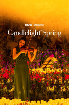 Candlelight Spring:  Rings and Dragons