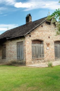 Visita a la plantación Whitney