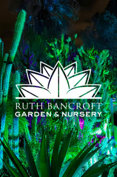 Garden of D’Lights