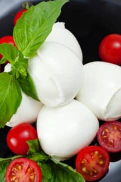 Make Your Own Mozzarella! From Curd to Caprese - Minneapolis
