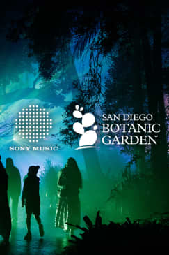 Lightscape at San Diego Botanic Garden