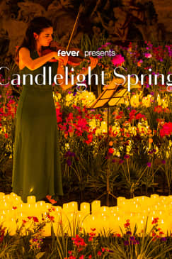 Candlelight Spring: Concertos clássicos entre flores - Lista de espera