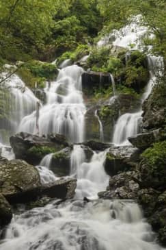 Half Day Hike - Water Falls