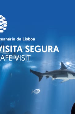 Oceanário de Lisboa