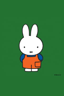 Miffy's 70th Birthday at Queens Botanical Garden