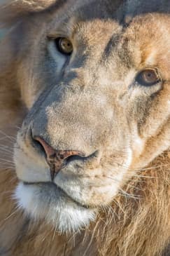 Austin Zoo