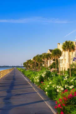 Discover Charleston! (Small Group Walking Tour - Max 10 Guests)