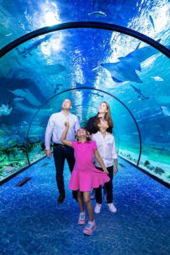 The National Aquarium Abu Dhabi