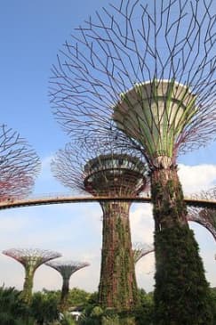 Singapore: Gardens by the Bay Admission E-Ticket