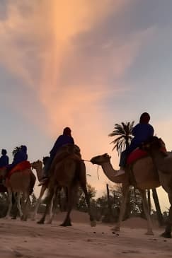 Balade à dos de chameau au coucher du soleil dans la palmeraie de Marrakech