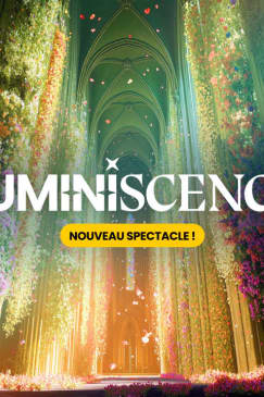 LUMINISCENCE: The Grand Return to Bordeaux, Illuminating Saint-André