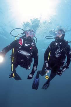 Full-Day Scuba Diving Charter to Goat Island Marine Reserve from Warkworth