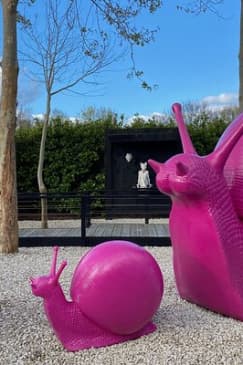 Explore gardens & galleries filled with incredible art, Matakana