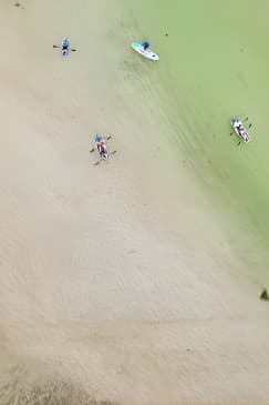 Clear Kayak Ecotour at Robinson Preserve in Bradenton, Florida 