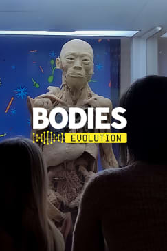 Exposición Bodies Estepona