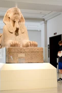 Penn Museum of Archaeology and Anthropology: Fast Track