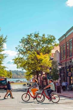 Alexandria Mystery Picnic: Self-Guided Foodie Adventure